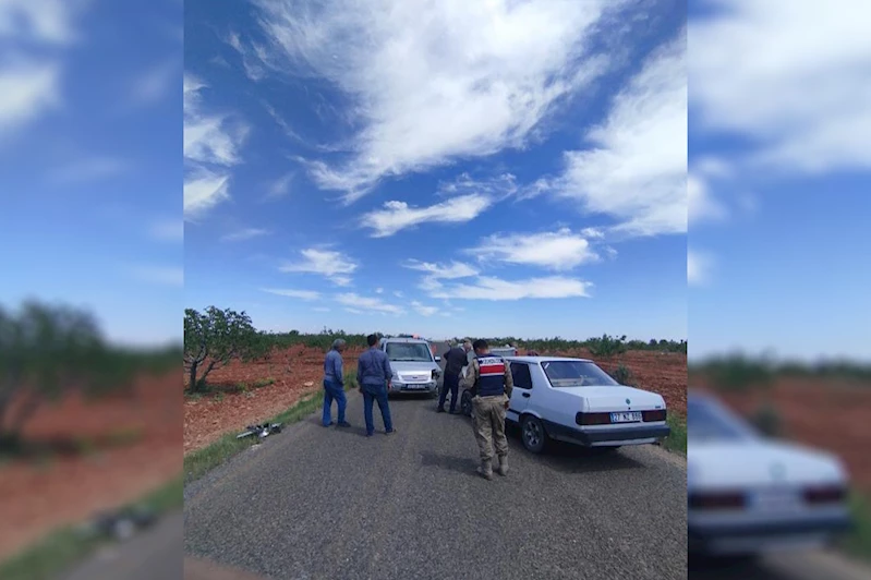 Şanlıurfa’da iki araç çarpıştı: 1 yaralı