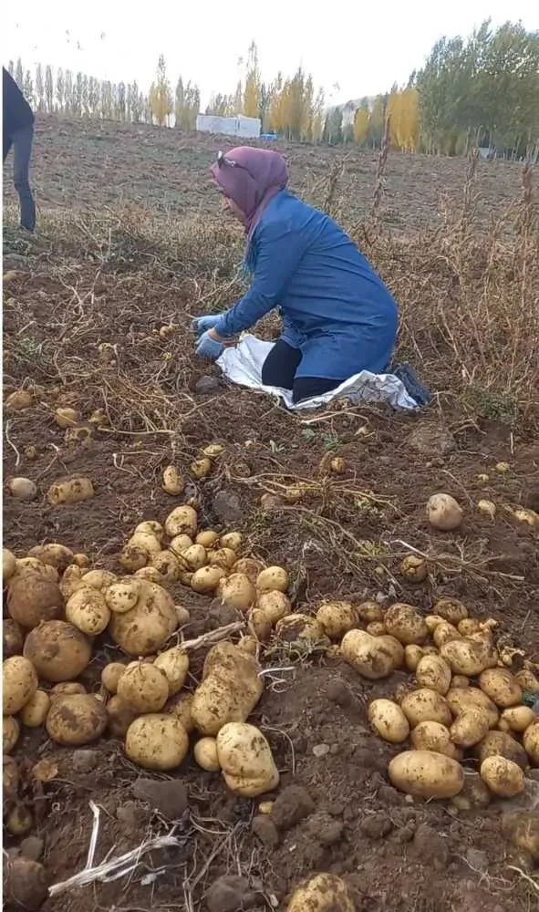 Toprağın özünden sofraya…