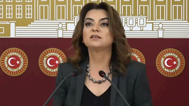 DEM Parti Grup Başkanvekili Gülistan Kılıç Koçyiğit’ten Yenidoğan Çetesi Davası eleştirisi 