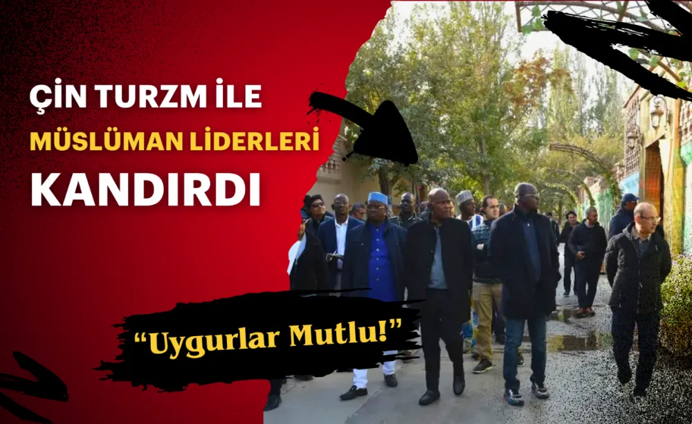 Çin, İslam İşbirliği Teşkilatı