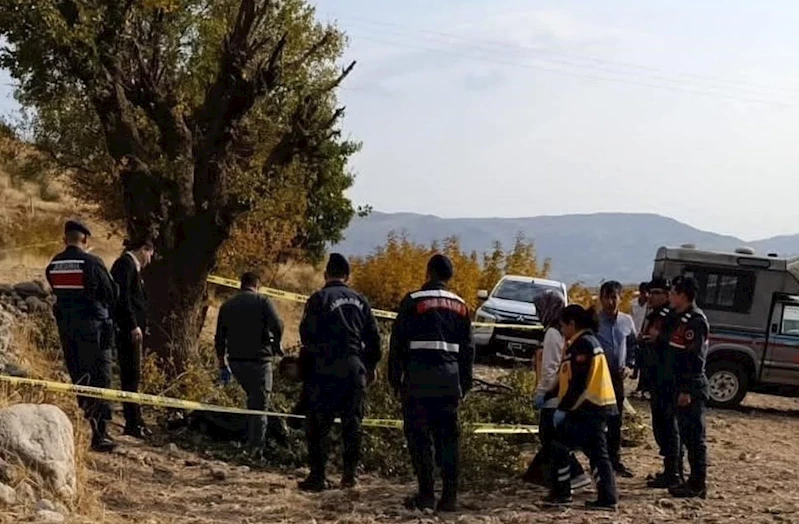 Adıyaman’da budama yaptığı ağaçtan düşen yaşlı adam hayatını kaybetti 