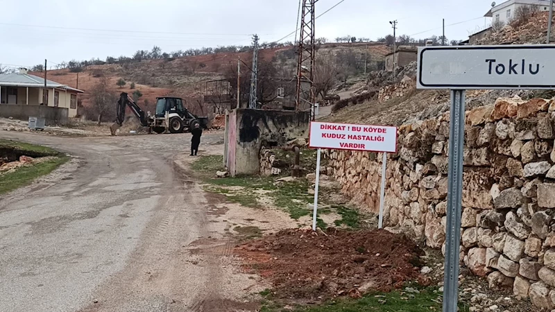 Çocuğu ısıran köpek kuduz çıktı, köy karantinaya alındı  - Videolu Haber