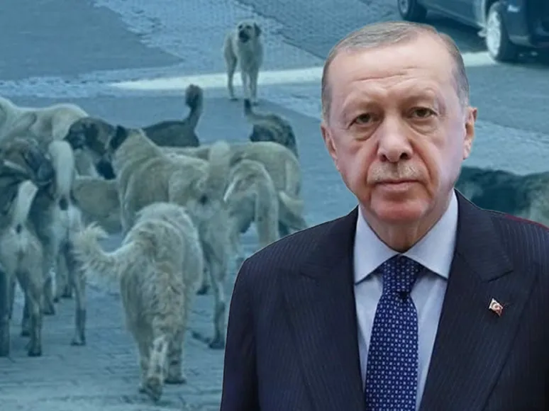 Erdoğan