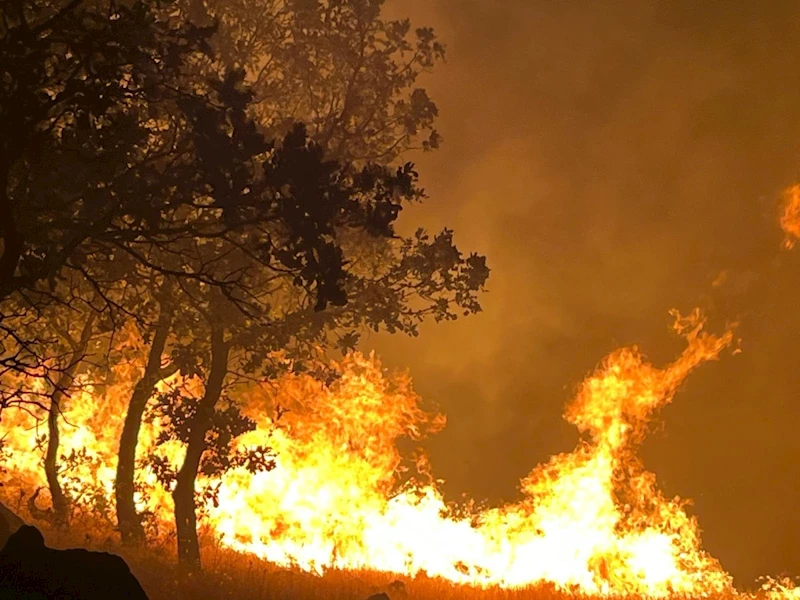 Giderek büyüyen orman yangını kontrol altına alınmaya çalışılıyor 