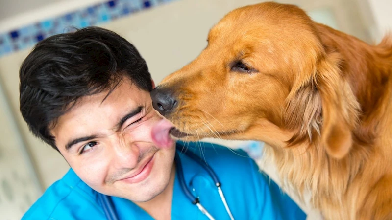 Köpeklerde mantar hastalığı insanlara bulaşabilir mi? 