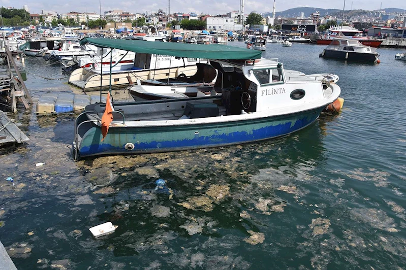 Marmara Denizi