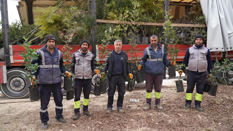 Mersin Büyükşehir Belediyesi’nden Adıyaman’a yeşil destek  - Videolu Haber