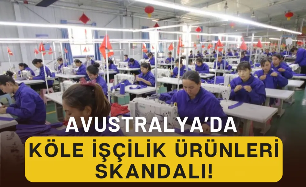 Avustralya’da Köle işçilik ürünleri skandalı!