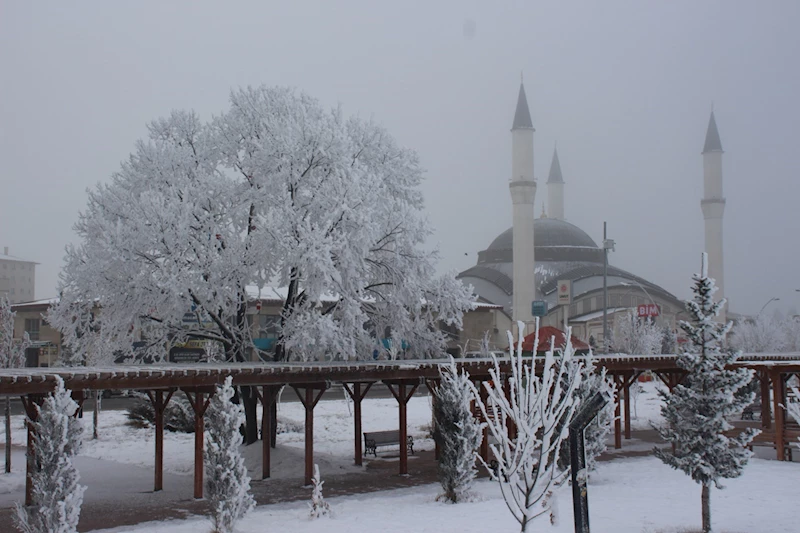 Ağrı