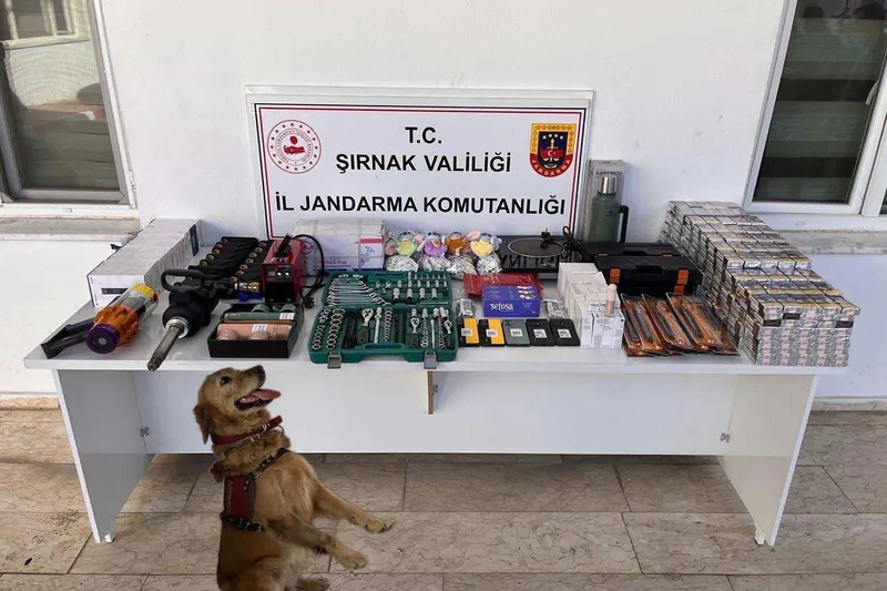 Şırnak’ta narkotik ve kaçakçılık operasyonları: 102 gözaltı