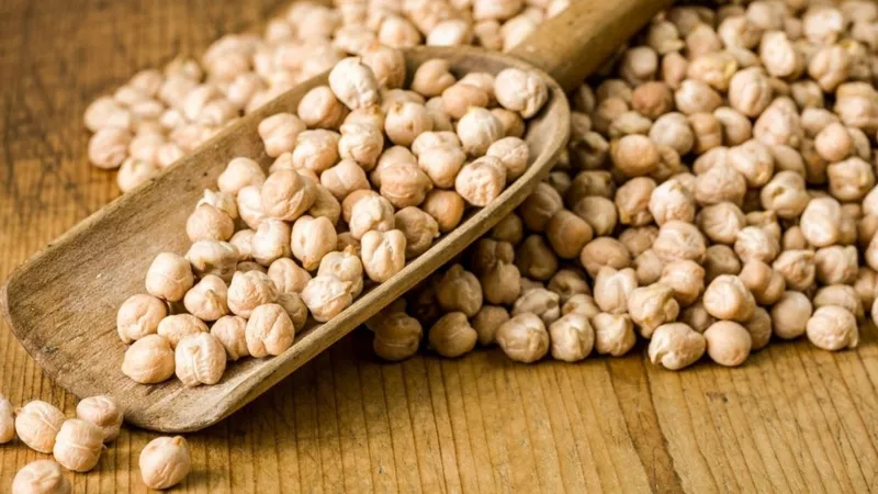 Adıyaman’da nohut tohumu desteği başvuruları başladı 