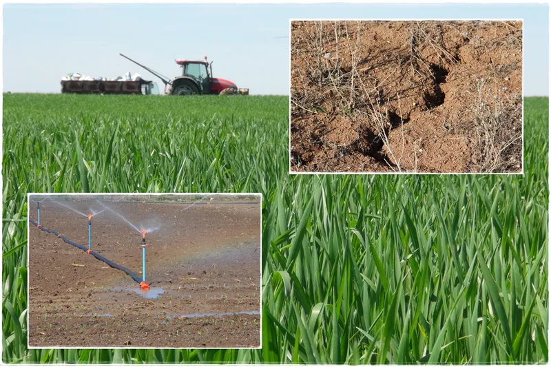 MİL-Tarım Orman Sendikası Genel Başkan Yardımcısı Yıkılmaz: Kuraklık çiftçiyi vuruyor, tarıma destek artırılmalı