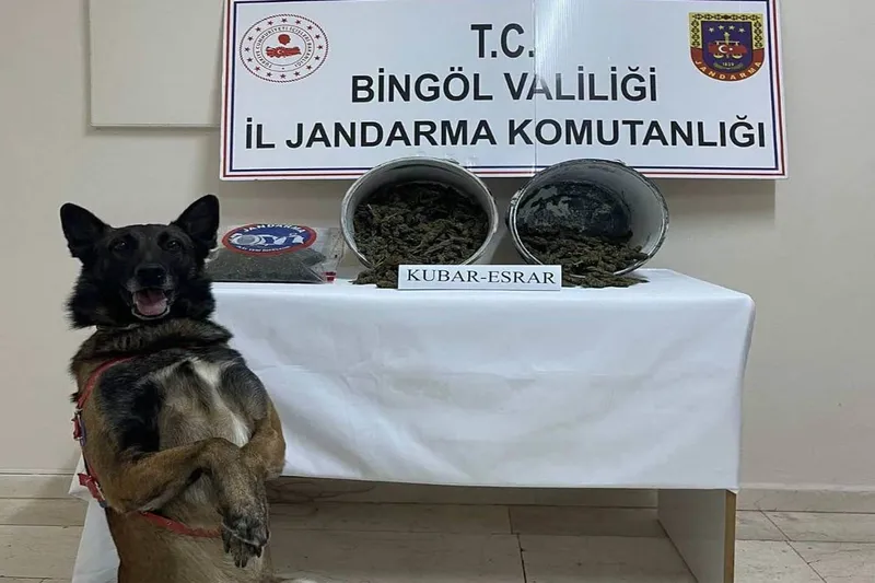 Bingöl’de 2 kilo esrar ele geçirildi