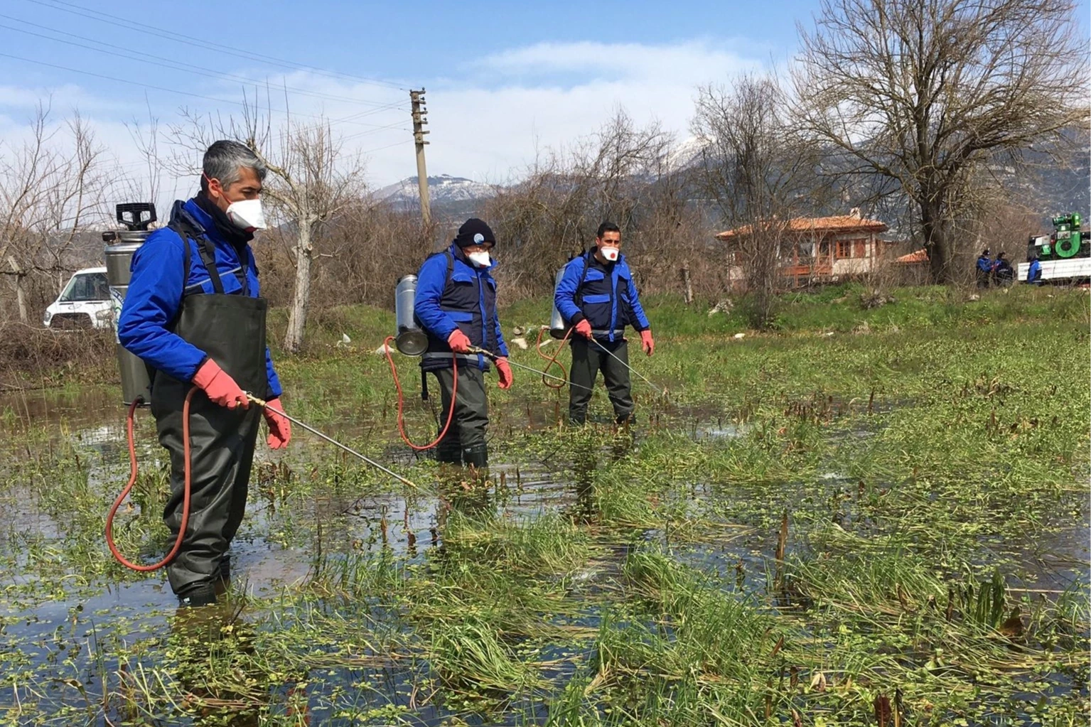 Muğla Büyükşehir