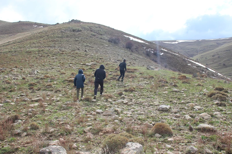 Önce çiriş otu topladılar sonra karın üzerine pekmez dökerek yediler