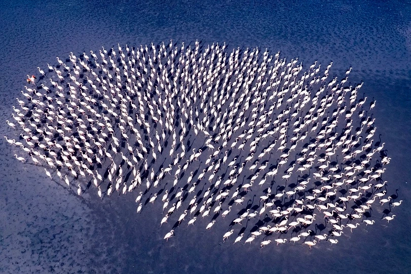 Kadın Gözüyle Hayattan Kareler’in kazananları belli oldu