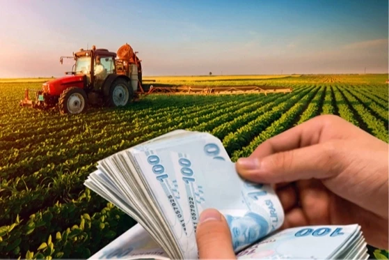 Tarımsal destekler saat 18 itibariyle hesapta