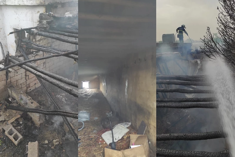 Batman’da ahır yangını