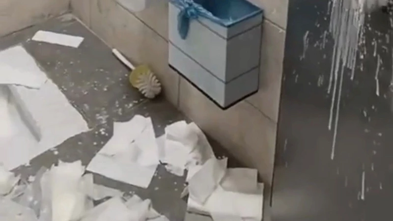 Hastanede kamu malına vahşet! Yeni açılan Kadın Doğum Hastanesi tuvaletinde tahribat kamerada  - Videolu Haber