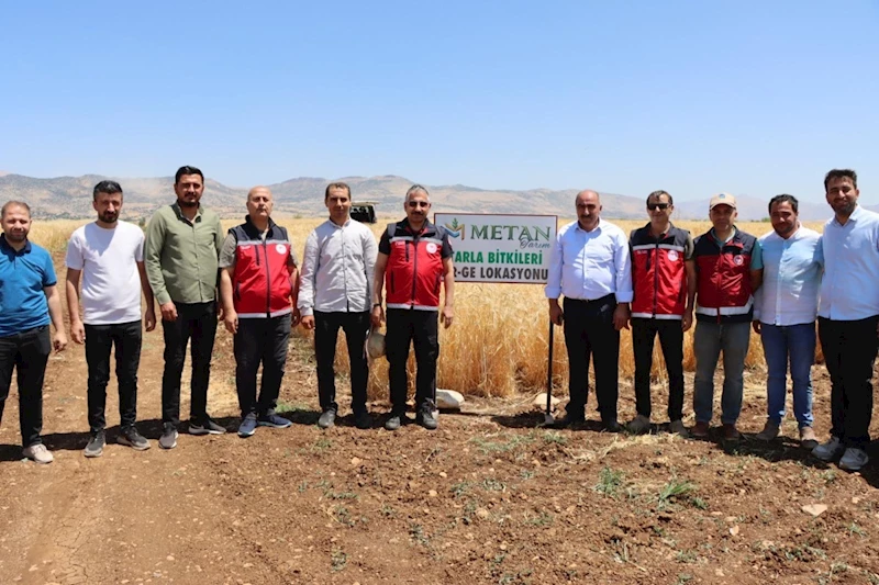 Adıyaman’da ‘Kuraklığa Dayanıklı Tohum’ çalışmaları yerinde incelendi  - Videolu Haber