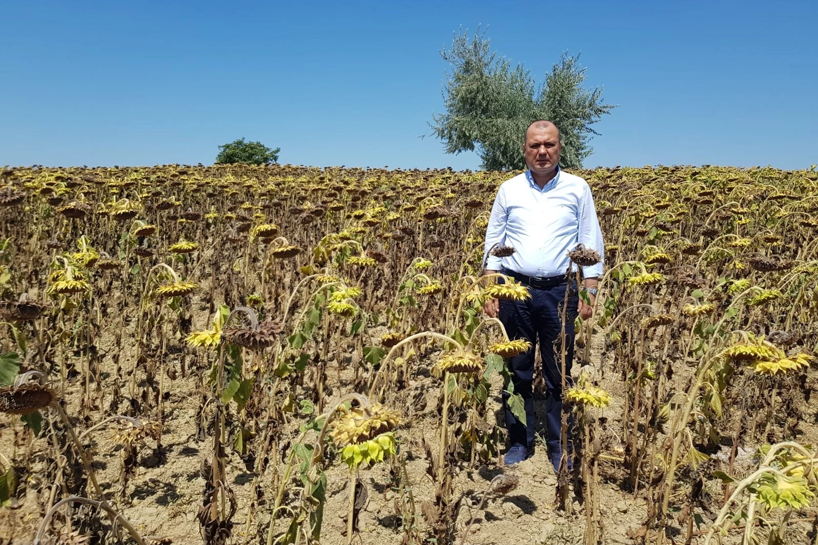 CHP Tekirdağ Milletvekili Aygun’dan kuraklık için yasa teklifi