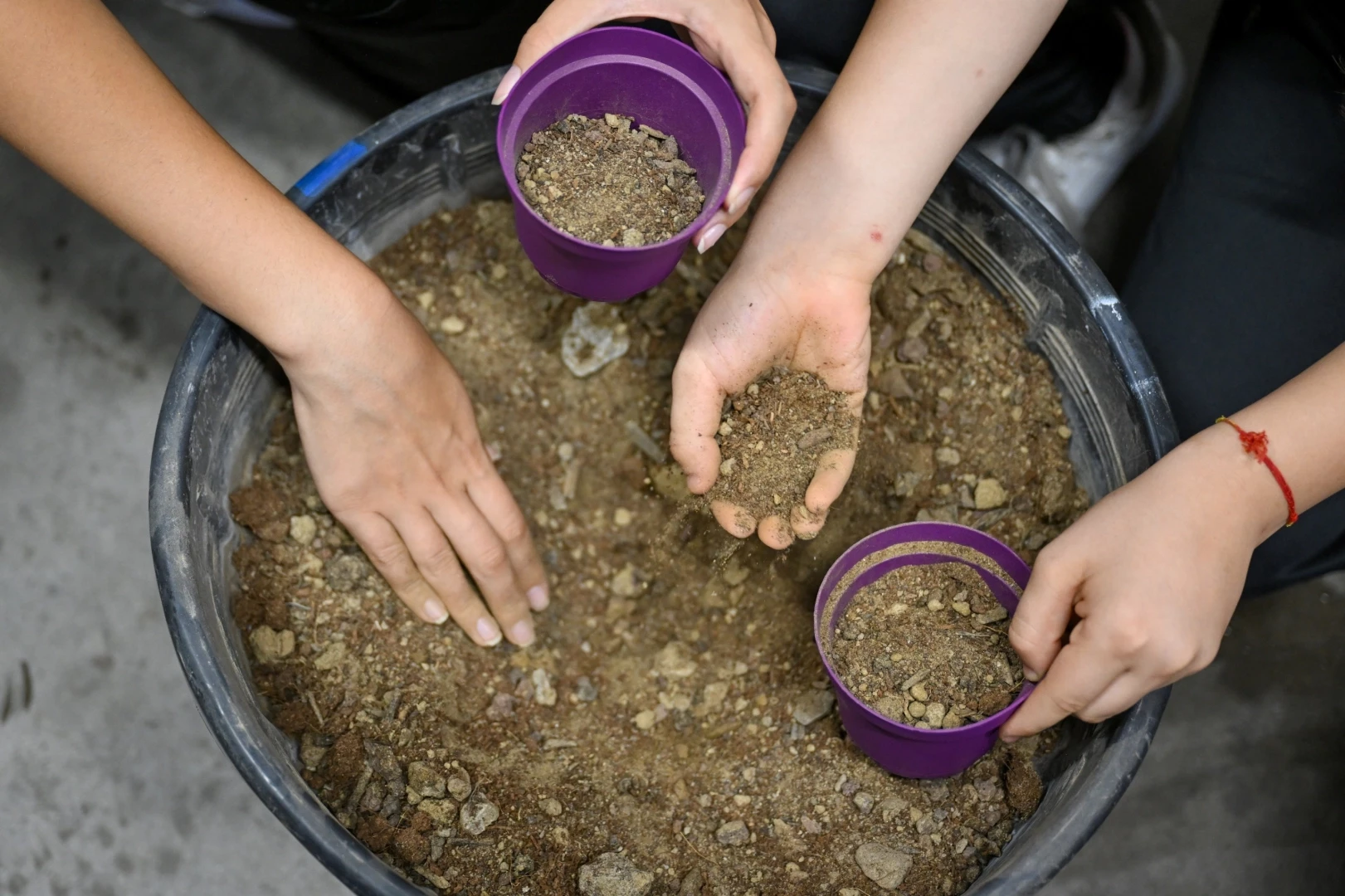 İzmir Bornova’da tohumdan umuda