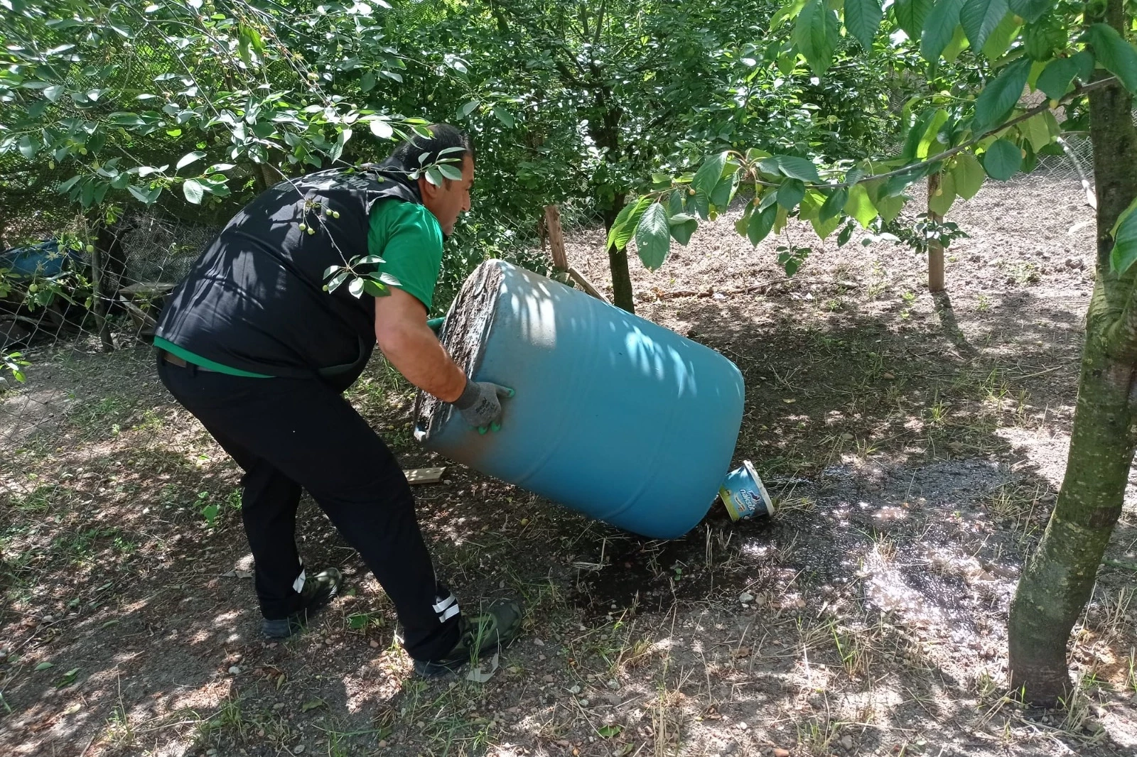 Kocaeli’de dört mevsim sivrisineklerle kararlı mücadele